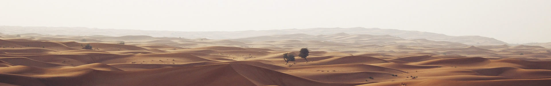 Ƚܻ޹˾